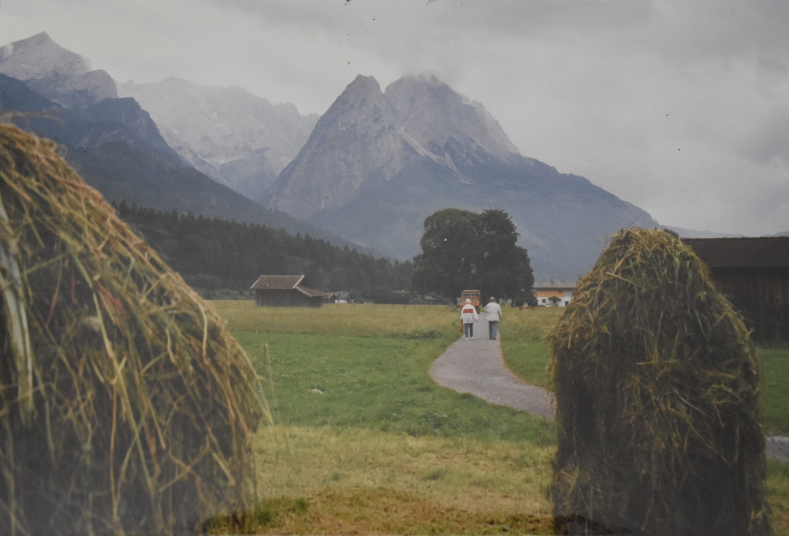 A path way through hay fields near the alps.
